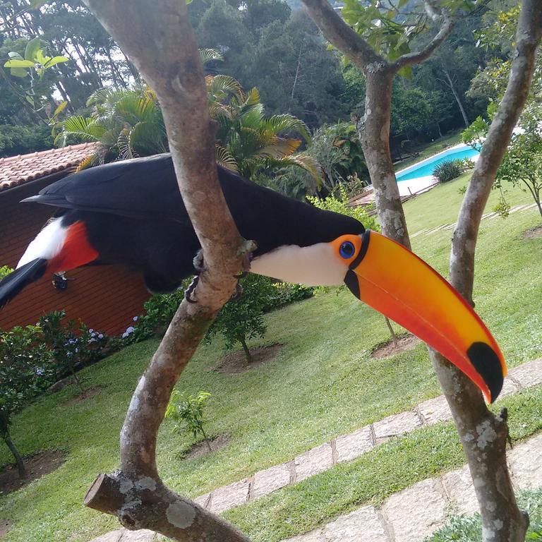 Pousada Tucano Do Cuiaba Itaipava Екстериор снимка