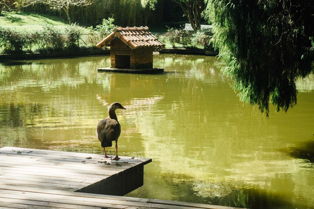 Pousada Tucano Do Cuiaba Itaipava Екстериор снимка